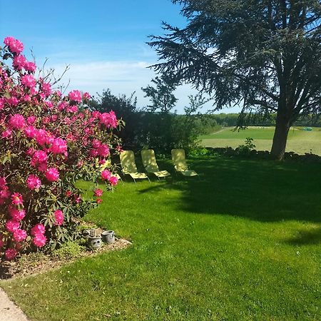Gite Belle Fleur 6 Personnes- Vosges Saint-Nabord Exteriör bild