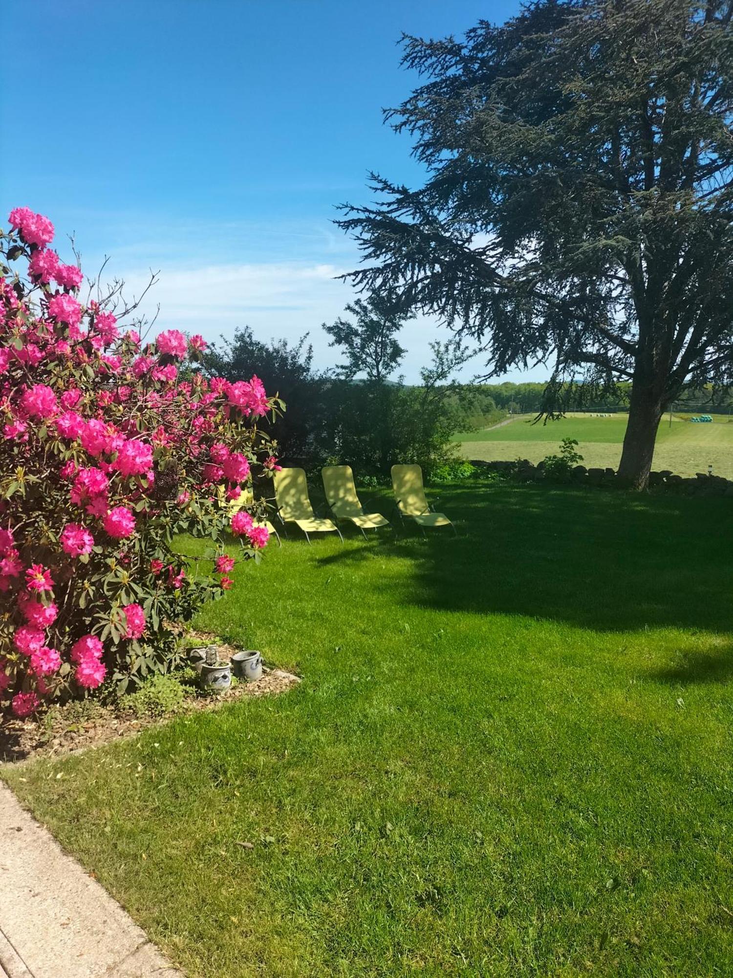 Gite Belle Fleur 6 Personnes- Vosges Saint-Nabord Exteriör bild